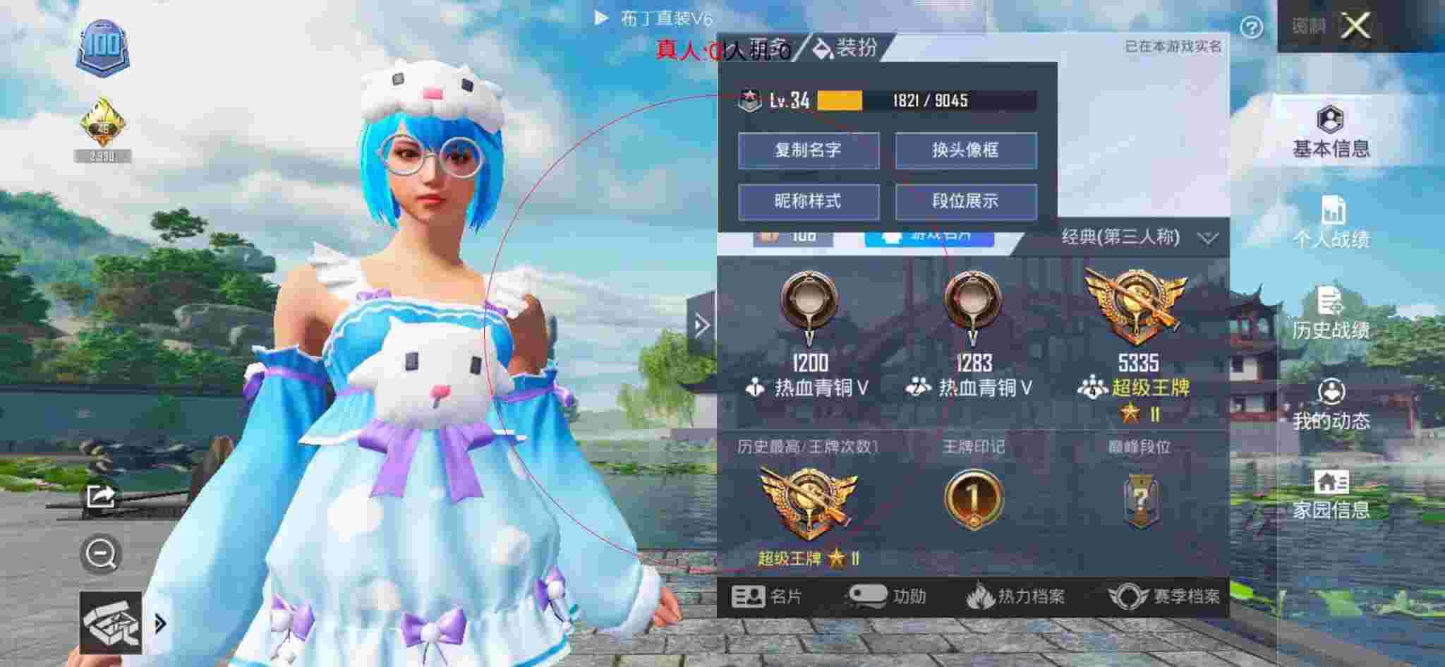 和平精英布丁直装透视 - 大白辅助官网和平精英辅助预览图
